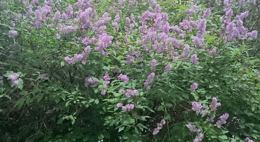 Апартаменты на Марата Иркутск-33